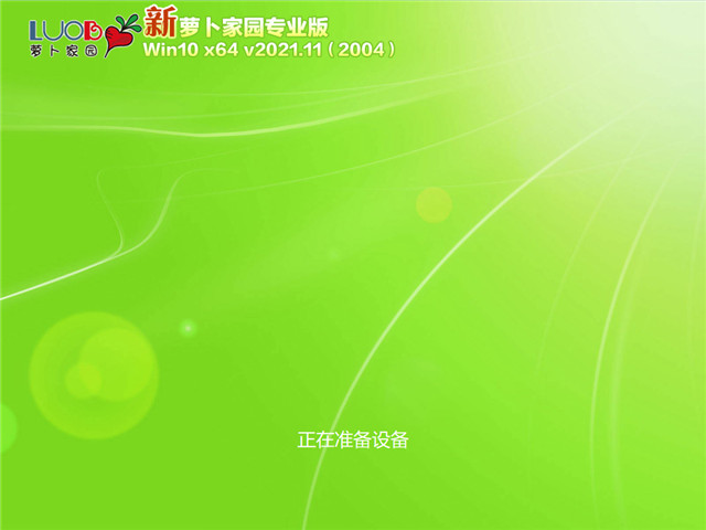 萝卜家园 Win10 64位专业版(2004) v2021.11