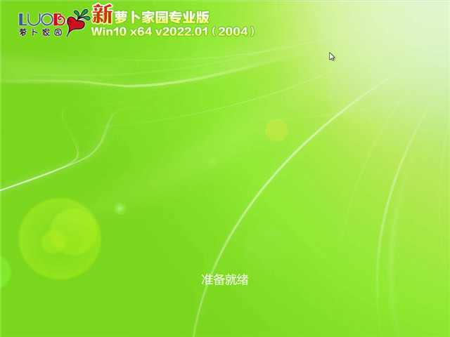 萝卜家园 Win10 64位专业版(2004) v2022.01