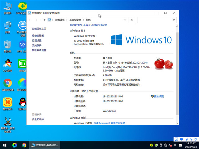 萝卜家园 Windows 10 64位 中文专业版 V2023.03