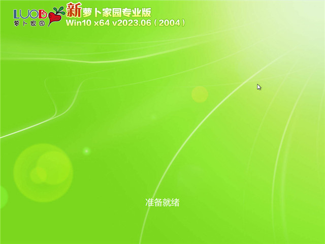 萝卜家园 Windows10 64位专业版 V2023.06