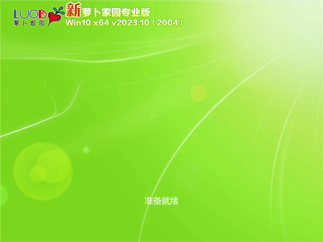 萝卜家园 Windows10 64位 专业版（22H2）V2023.10